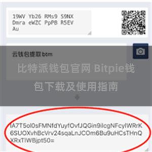 比特派钱包官网 Bitpie钱包下载及使用指南