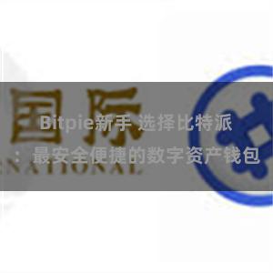 Bitpie新手 选择比特派：最安全便捷的数字资产钱包