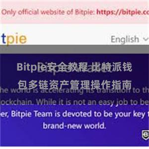 Bitpie安全教程 比特派钱包多链资产管理操作指南