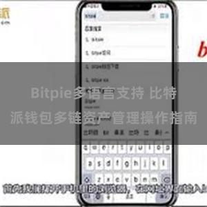 Bitpie多语言支持 比特派钱包多链资产管理操作指南