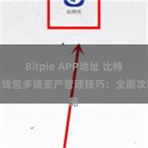 Bitpie APP地址 比特派钱包多链资产管理技巧：全面攻略