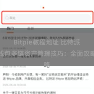 Bitpie教程地址 比特派钱包多链资产管理技巧：全面攻略