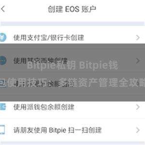 Bitpie私钥 Bitpie钱包使用技巧：多链资产管理全攻略