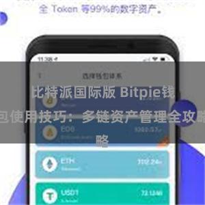 比特派国际版 Bitpie钱包使用技巧：多链资产管理全攻略