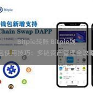 Bitpie转账 Bitpie钱包使用技巧：多链资产管理全攻略