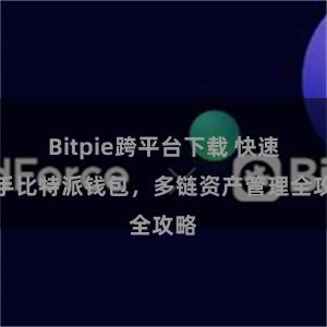 Bitpie跨平台下载 快速上手比特派钱包，多链资产管理全攻略