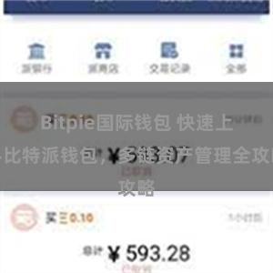 Bitpie国际钱包 快速上手比特派钱包，多链资产管理全攻略