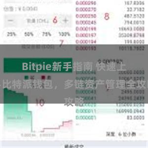 Bitpie新手指南 快速上手比特派钱包，多链资产管理全攻略