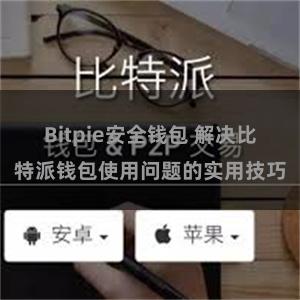 Bitpie安全钱包 解决比特派钱包使用问题的实用技巧