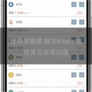 比特派提现 解决Bitpie钱包常见使用问题