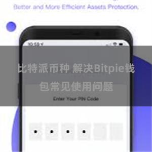 比特派币种 解决Bitpie钱包常见使用问题