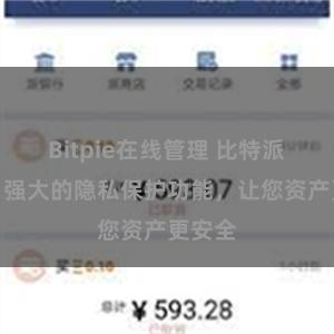 Bitpie在线管理 比特派钱包：强大的隐私保护功能，让您资产更安全