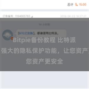 Bitpie备份教程 比特派钱包：强大的隐私保护功能，让您资产更安全