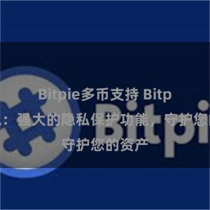 Bitpie多币支持 Bitpie钱包：强大的隐私保护功能，守护您的资产