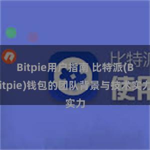 Bitpie用户指南 比特派(Bitpie)钱包的团队背景与技术实力