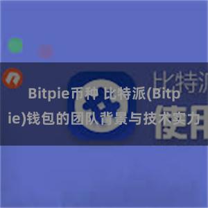 Bitpie币种 比特派(Bitpie)钱包的团队背景与技术实力