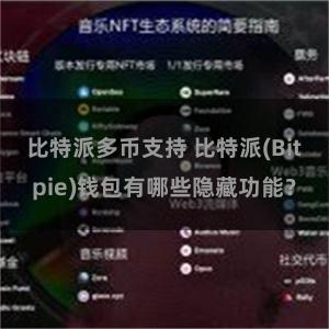 比特派多币支持 比特派(Bitpie)钱包有哪些隐藏功能？