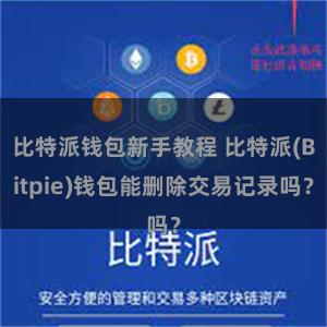 比特派钱包新手教程 比特派(Bitpie)钱包能删除交易记录吗？