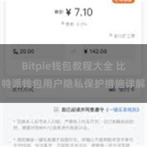 Bitpie钱包教程大全 比特派钱包用户隐私保护措施详解