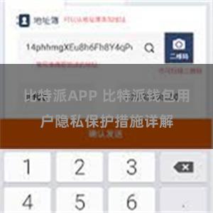 比特派APP 比特派钱包用户隐私保护措施详解