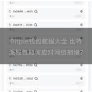 Bitpie钱包教程大全 比特派钱包如何应对网络拥堵？