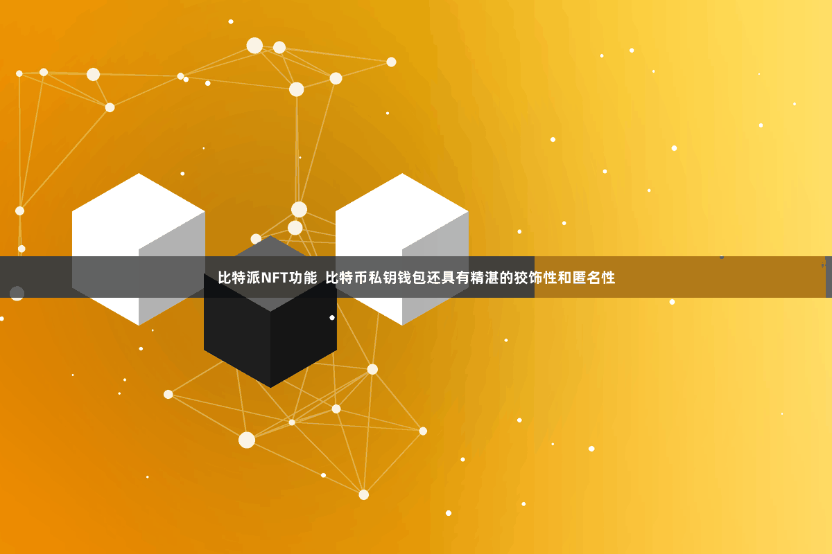 比特派NFT功能 比特币私钥钱包还具有精湛的狡饰性和匿名性